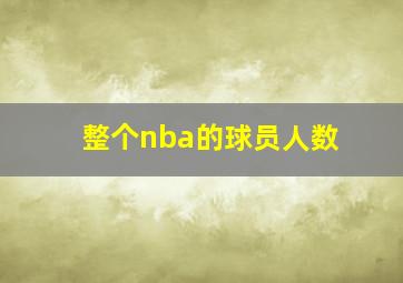 整个nba的球员人数