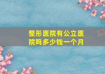 整形医院有公立医院吗多少钱一个月