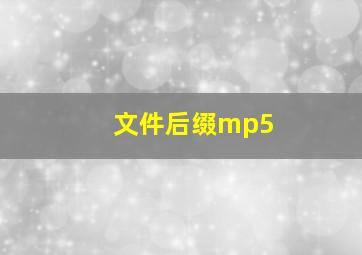 文件后缀mp5