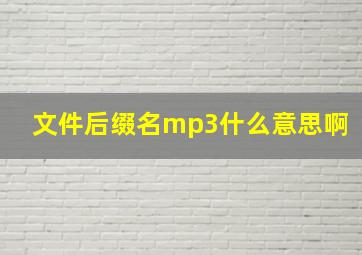 文件后缀名mp3什么意思啊