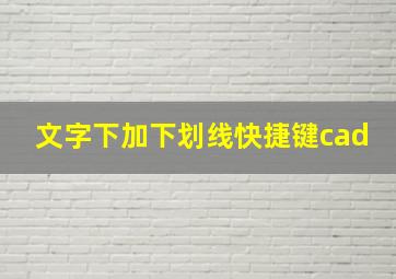 文字下加下划线快捷键cad