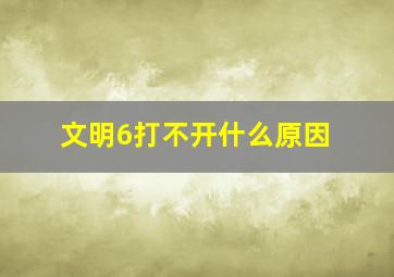 文明6打不开什么原因