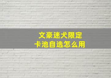 文豪迷犬限定卡池自选怎么用