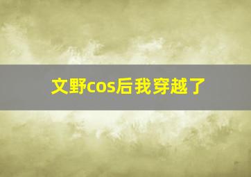 文野cos后我穿越了