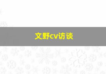 文野cv访谈