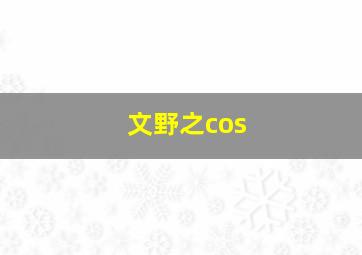 文野之cos