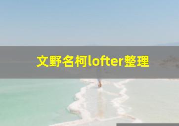 文野名柯lofter整理