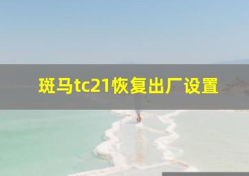 斑马tc21恢复出厂设置