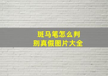 斑马笔怎么判别真假图片大全