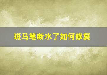 斑马笔断水了如何修复