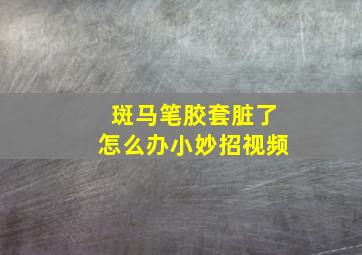 斑马笔胶套脏了怎么办小妙招视频