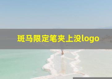 斑马限定笔夹上没logo