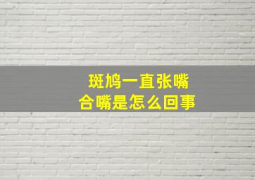 斑鸠一直张嘴合嘴是怎么回事