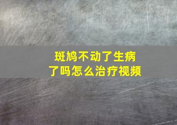 斑鸠不动了生病了吗怎么治疗视频