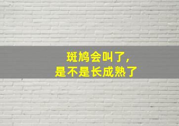 斑鸠会叫了,是不是长成熟了