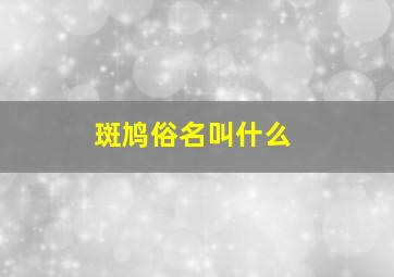 斑鸠俗名叫什么