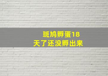 斑鸠孵蛋18天了还没孵出来