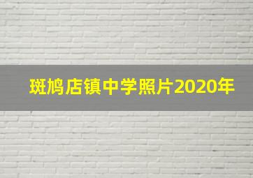 斑鸠店镇中学照片2020年