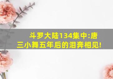 斗罗大陆134集中:唐三小舞五年后的泪奔相见!