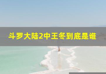 斗罗大陆2中王冬到底是谁