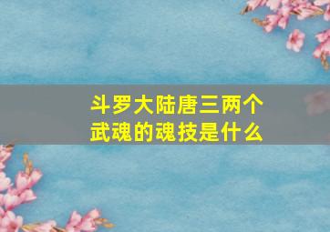 斗罗大陆唐三两个武魂的魂技是什么