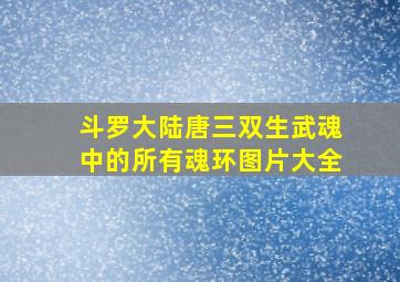 斗罗大陆唐三双生武魂中的所有魂环图片大全