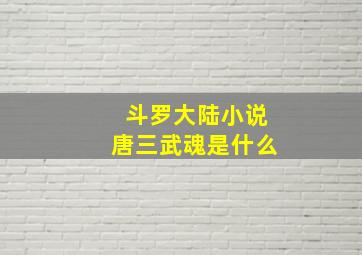 斗罗大陆小说唐三武魂是什么