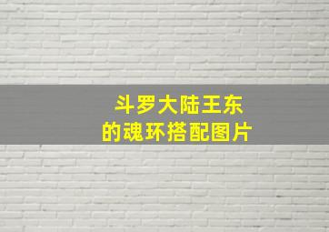 斗罗大陆王东的魂环搭配图片