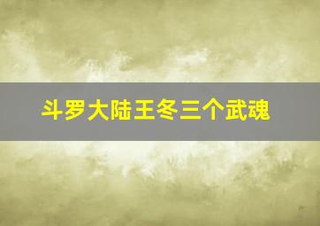 斗罗大陆王冬三个武魂