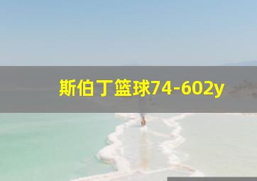 斯伯丁篮球74-602y