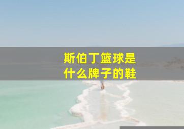 斯伯丁篮球是什么牌子的鞋