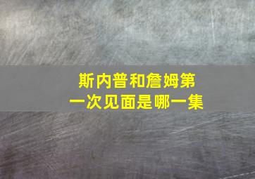 斯内普和詹姆第一次见面是哪一集