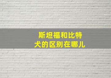 斯坦福和比特犬的区别在哪儿