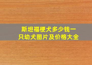 斯坦福梗犬多少钱一只幼犬图片及价格大全