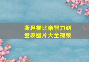 斯坦福比奈智力测量表图片大全视频