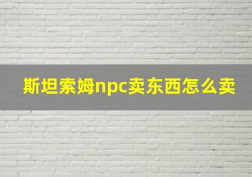 斯坦索姆npc卖东西怎么卖