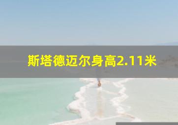 斯塔德迈尔身高2.11米