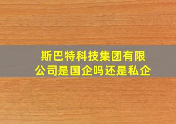 斯巴特科技集团有限公司是国企吗还是私企