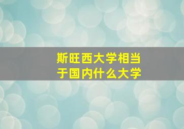 斯旺西大学相当于国内什么大学