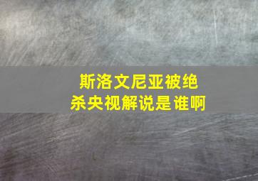 斯洛文尼亚被绝杀央视解说是谁啊