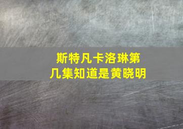 斯特凡卡洛琳第几集知道是黄晓明