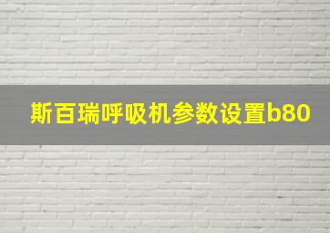 斯百瑞呼吸机参数设置b80