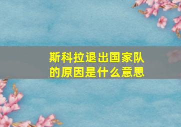 斯科拉退出国家队的原因是什么意思