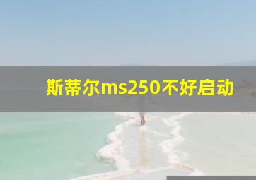 斯蒂尔ms250不好启动