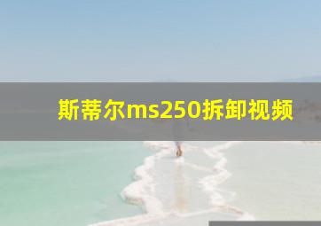 斯蒂尔ms250拆卸视频