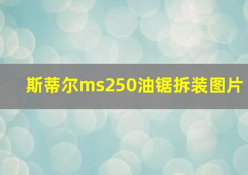 斯蒂尔ms250油锯拆装图片