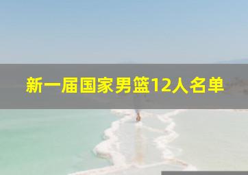 新一届国家男篮12人名单