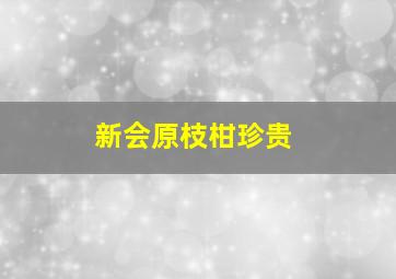 新会原枝柑珍贵