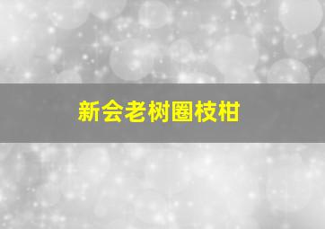 新会老树圈枝柑