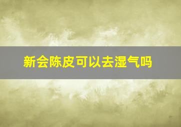 新会陈皮可以去湿气吗